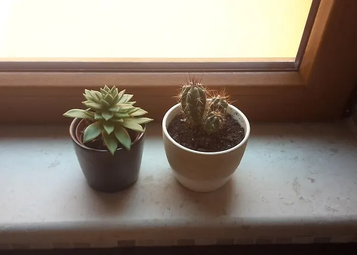 Bozac Διαμέρισμα Ρόβινι