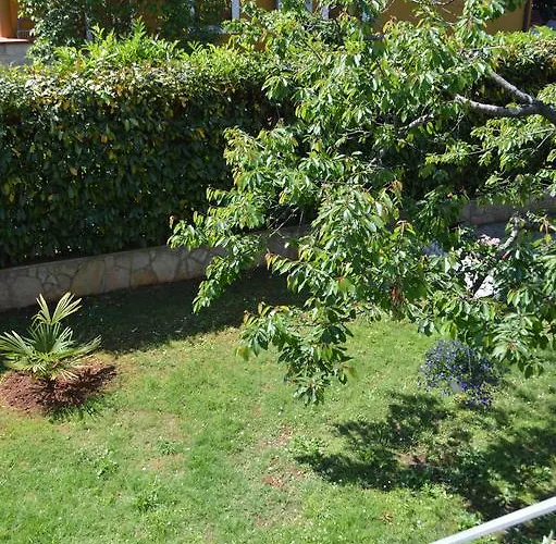 Διαμέρισμα Bozac *